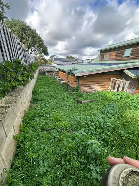 Back and side yard after a garden clean-up in Margaret River (5 of 7)