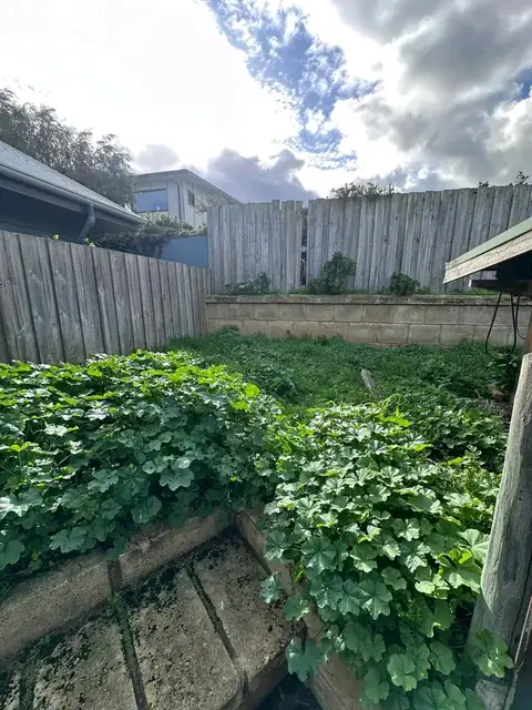 Back and side yard after a garden clean-up in Margaret River (7 of 7)