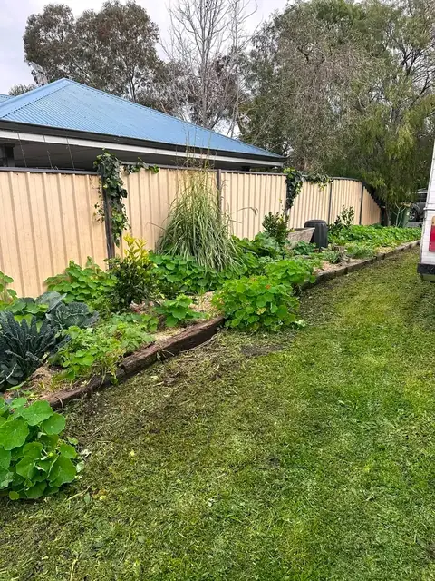 Mown lawns and tidy garden beds at a Margaret River town property (5 of 11)