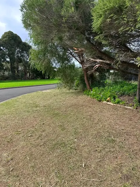 Mown lawns and tidy garden beds at a Margaret River town property (6 of 11)