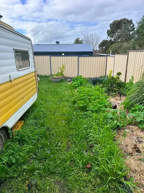 Mown lawns and tidy garden beds at a Margaret River town property (9 of 11)