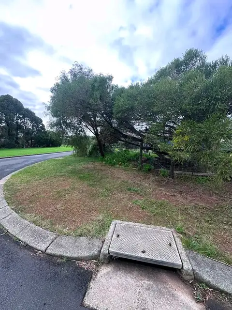 Mown lawns and tidy garden beds at a Margaret River town property (11 of 11)