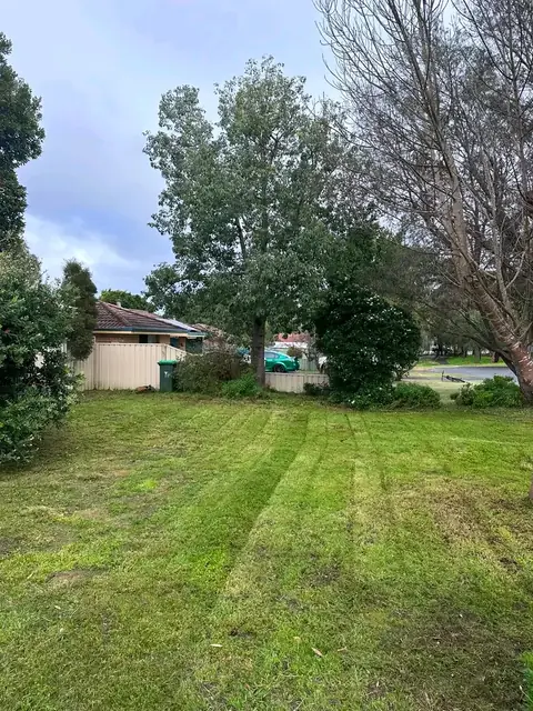 Freshly mown striped lawn in Margaret River
