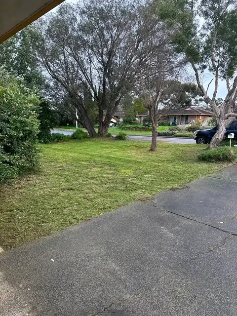 Freshly mown striped lawn in Margaret River (2 of 4)