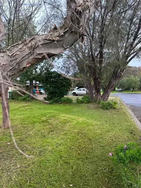 Freshly mown striped lawn in Margaret River (4 of 4)