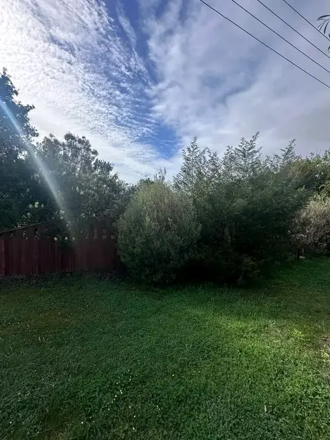 Lawn and garden at a Margaret River holiday home (6 of 6)