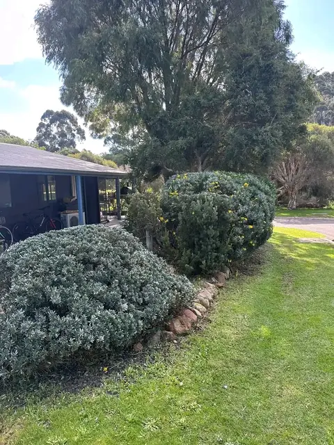 Shaped shrubs and mulched garden bed in Margaret River