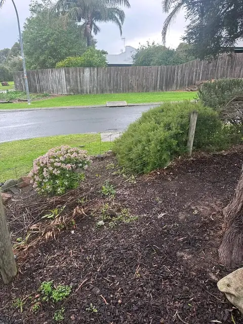 Shaped shrubs and mulched garden bed in Margaret River (4 of 5)