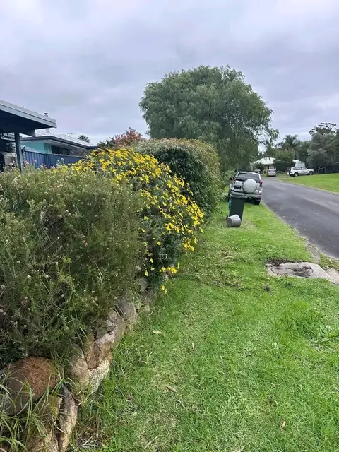 Trimmed hedges and rock wall along a Margaret River street (4 of 9)