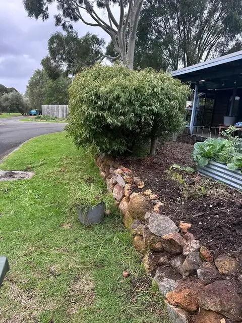 Trimmed hedges and rock wall along a Margaret River street (5 of 9)