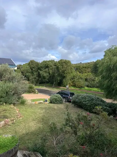 Trimmed hedges and rock wall along a Margaret River street (8 of 9)