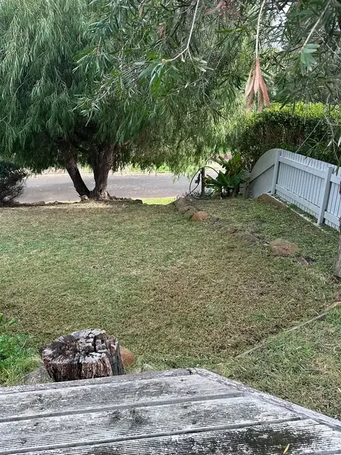 Trimmed hedges and rock wall along a Margaret River street (9 of 9)