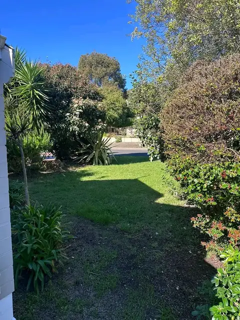 Freshly tidied front garden and lawn in Margaret River (2 of 6)