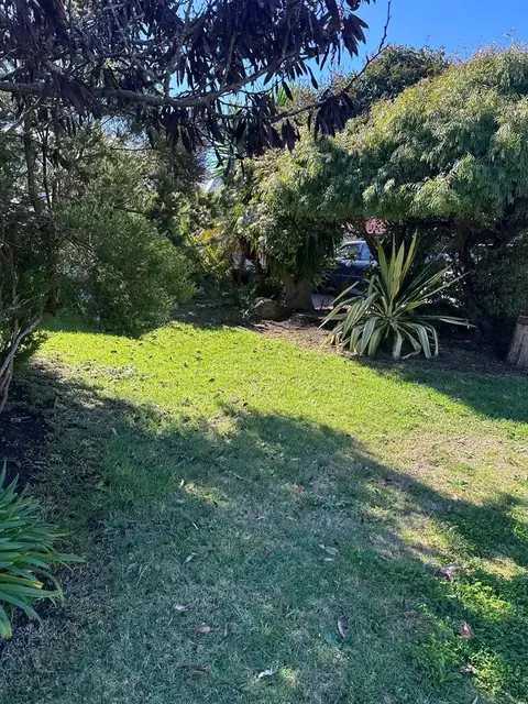 Freshly tidied front garden and lawn in Margaret River (3 of 6)