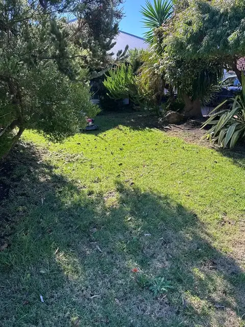 Freshly tidied front garden and lawn in Margaret River (4 of 6)