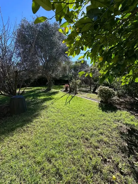 Freshly tidied front garden and lawn in Margaret River (6 of 6)
